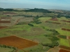 o_Diversified agriculture2